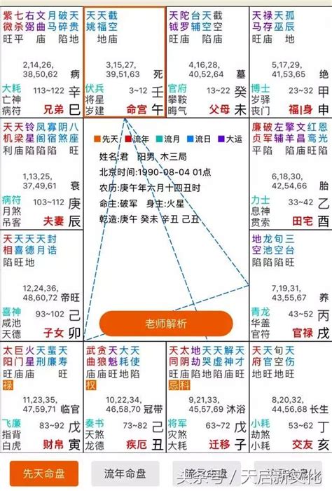 地支怎麼看|紫微斗數命盤怎麼看~十分鐘讓你脫離命理小白